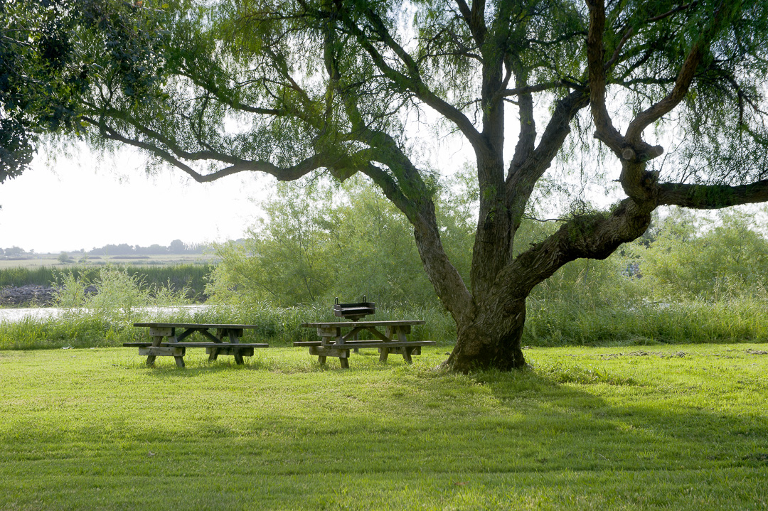 brannan island